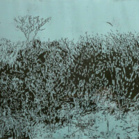 In den Dünen, 2014, Holzschnitt, 2-farbig, 50 x 60 cm