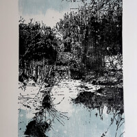 Teich, 2017, Holzschnitt, 2-farbig, 70 x 50 cm