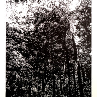 Wald, 2012, Holzschnitt, 70 x 50 cm