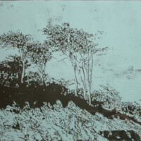 Windflüchter, 2014, Holzschnitt, 2-farbig, 50 x 60 cm